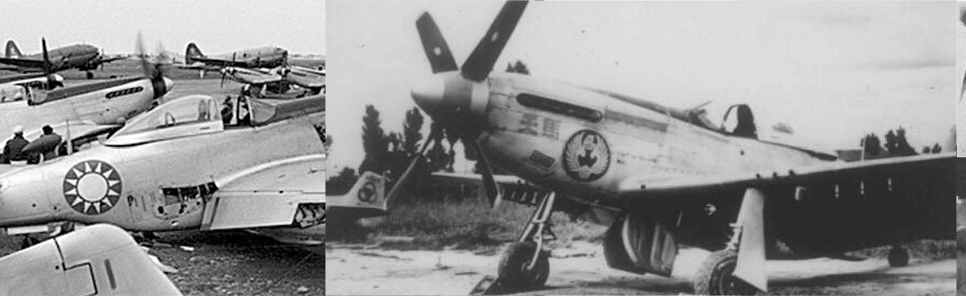 P-51D "野馬"戰鬥機